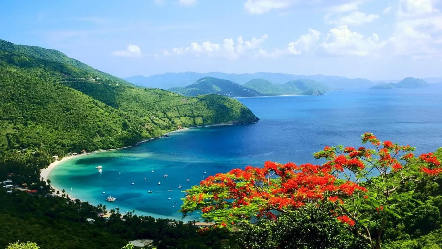 高效科技
